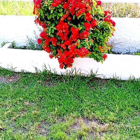 Marietta וילה *