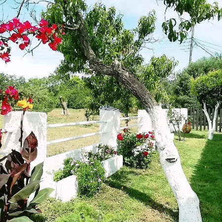 Marietta Villa Agios Gordios (Corfu)
